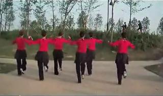 炫鸟传说最炫民族风广场舞背面 最炫民族风舞蹈教学