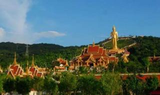 抖音怎么恢复播放量 抖音怎么恢复播放量