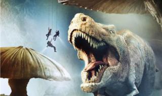 3D电影、4D电影、5D电影是什么意思有没有1D、2D电影 5d动感电影