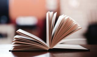 ArianaGrand ArianaGrand