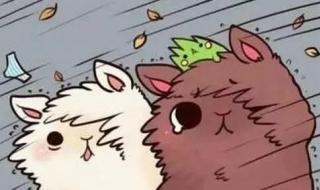 台风蓝色预报和台风橙色预报有什么区别 台风消息最新预报