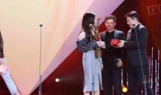 第36届金鸡奖颁奖典礼 第36届金鸡奖颁奖典礼