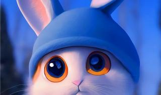 兔年2023专属头像 兔年2023专属头像