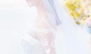 谢娜张杰婚姻状况 谢娜张杰婚纱照片