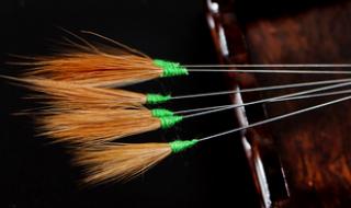 采耳大家有了解的吗去学采耳一个星期3000多块学费!做采耳师有前途吗 采耳师培训学费多少