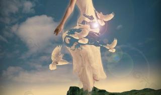 自由飞翔原唱是谁 广场舞自由飞翔24步